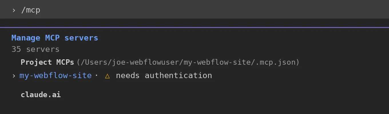 The project-specific MCP server connection in a terminal window, needing authentication
